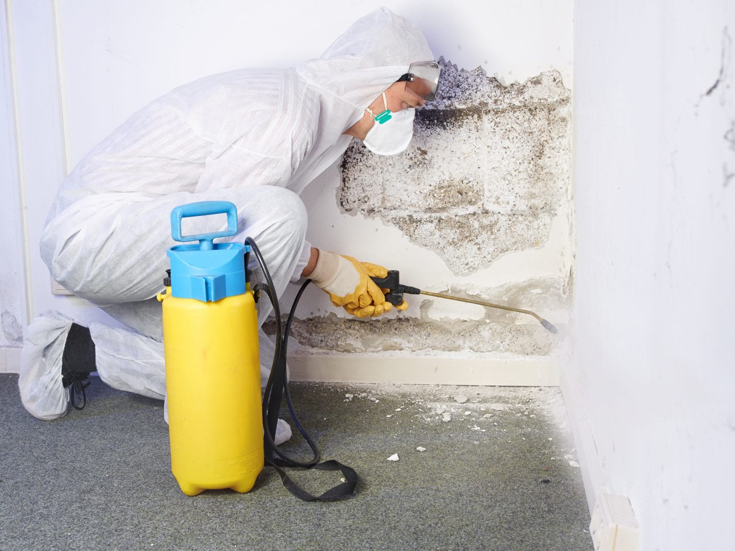 Mold Inspection Services in Hinesville