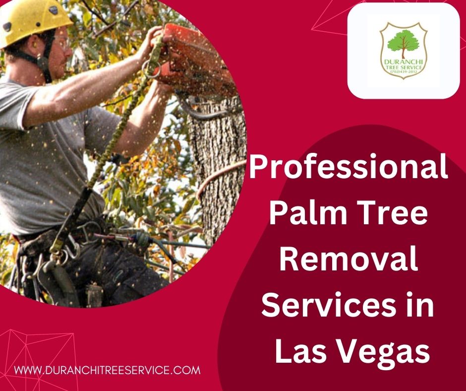 Professional Palm Tree Removal Services in Las Vegas