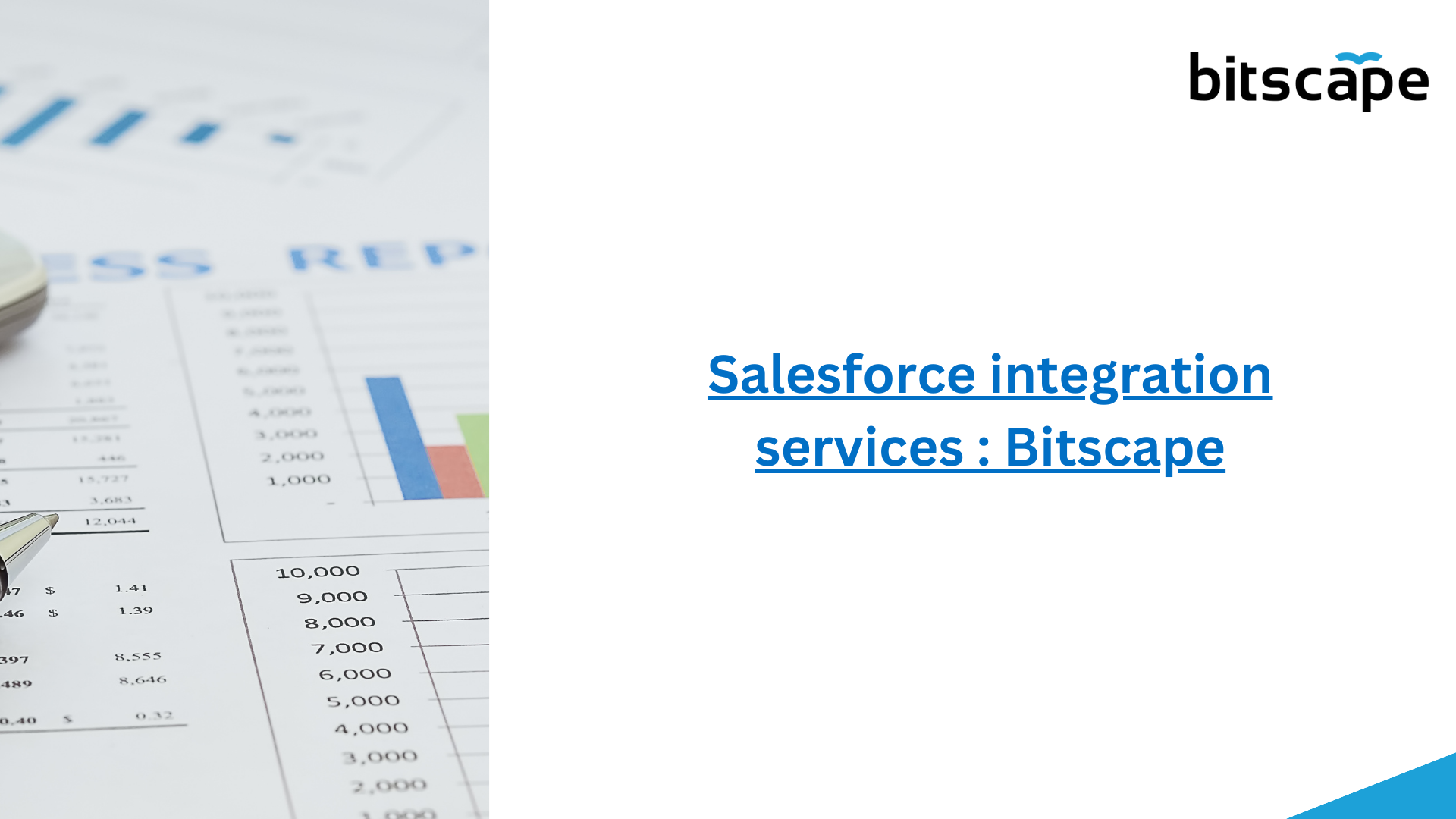 Salesforce integration services: Bitscape