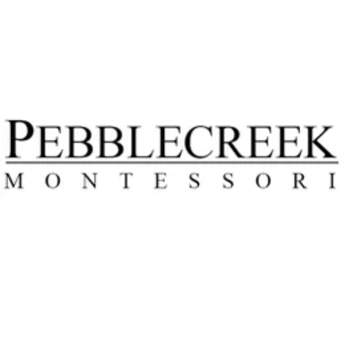 montessori school in plano