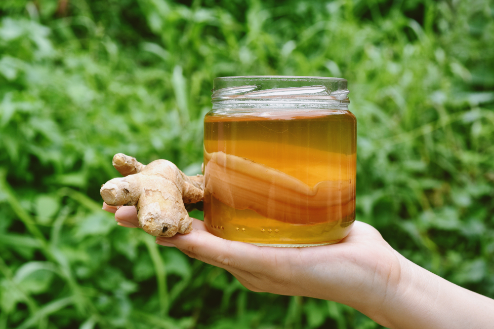 Probiotic Tea: Benefits, Precautions, and Recipes