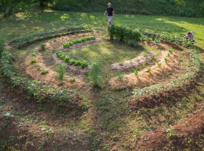 Permaculture garden