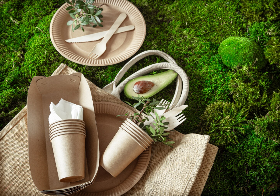 Eco-Friendly Wine Packaging and Premium Boxed Wine Guide