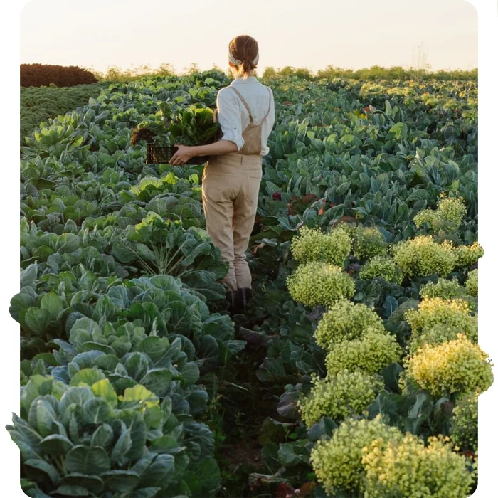 Regenerative Agriculture and Machine Learning—Restoring the Global Topsoil
